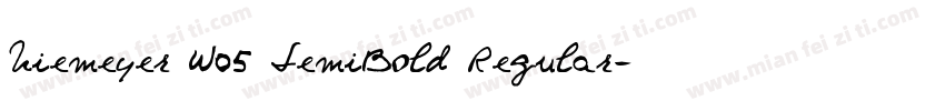 Niemeyer W05 SemiBold Regular字体转换